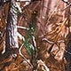 https://img.ltwebstatic.com/images3_pi/2024/04/17/0f/1713320774c8d965a2aeaee3c911a6015b58cbcd04.jpg