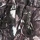https://img.ltwebstatic.com/images3_pi/2024/08/14/dc/1723612997174e27e23e98829cfc98ba403baa5495.jpg