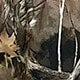 https://img.ltwebstatic.com/images3_pi/2025/02/20/fd/17400342842353c2809ad2b7330f2332569e2c5f0d.jpg