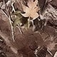 https://img.ltwebstatic.com/images3_pi/2025/03/21/1b/1742523323d8ea6d3bd1cd5fdc16be5de24c6960a6.jpg