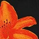 https://img.ltwebstatic.com/images3_pi/2025/04/02/fe/1743585438339ac9df6abf85eb7cce2c7e9ce535c0.jpg