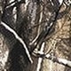 https://img.ltwebstatic.com/images3_pi/2024/06/25/4b/1719302912baccb0f44cd7f41c519e26d6fb3fbcad.jpg